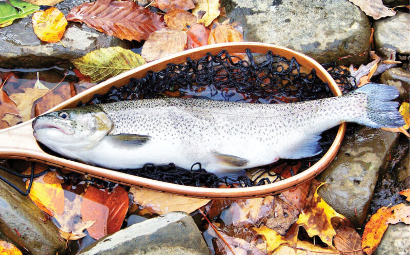 ‘My Photo Finish’ on display